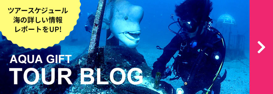 AQUA GIFT TOUR BLOG