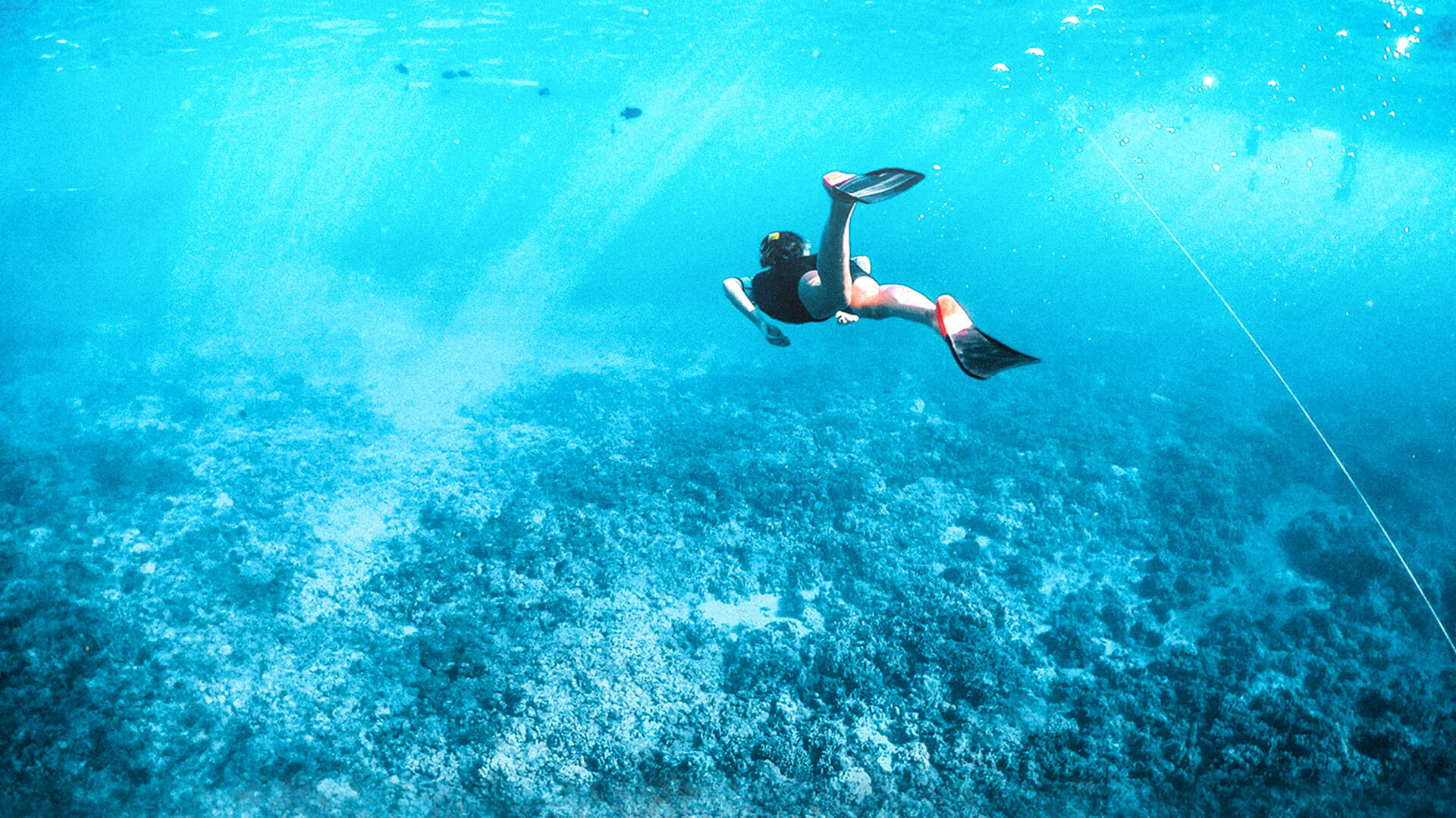 Diving Club AQUA GIFT