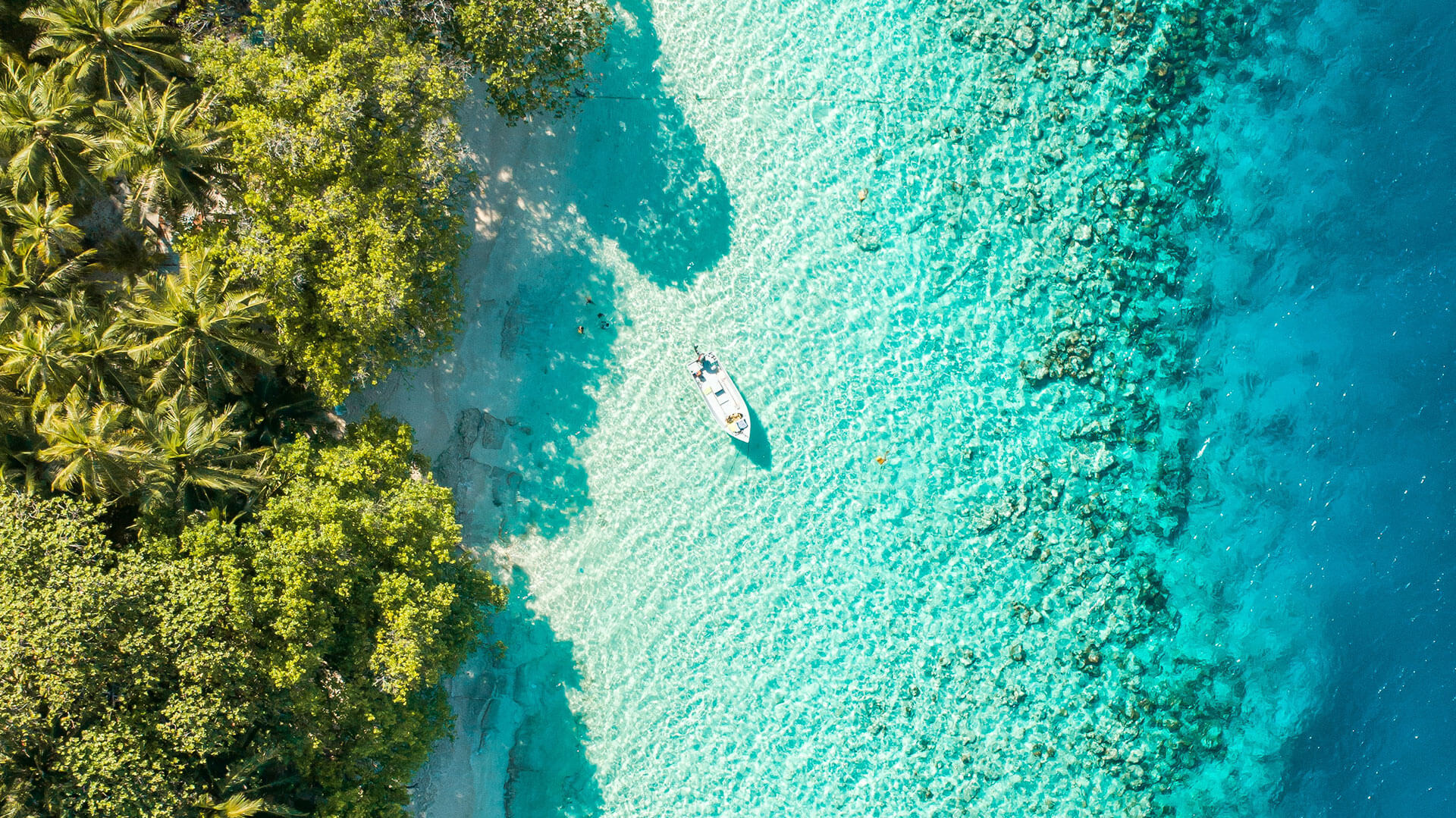 Diving Club AQUA GIFT