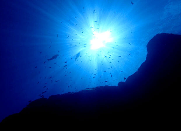 ツアーイメージ