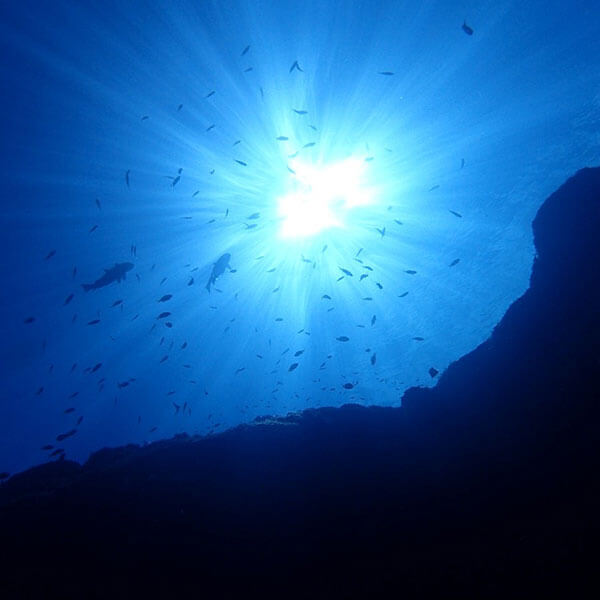 USER’S VOICE お客様の声